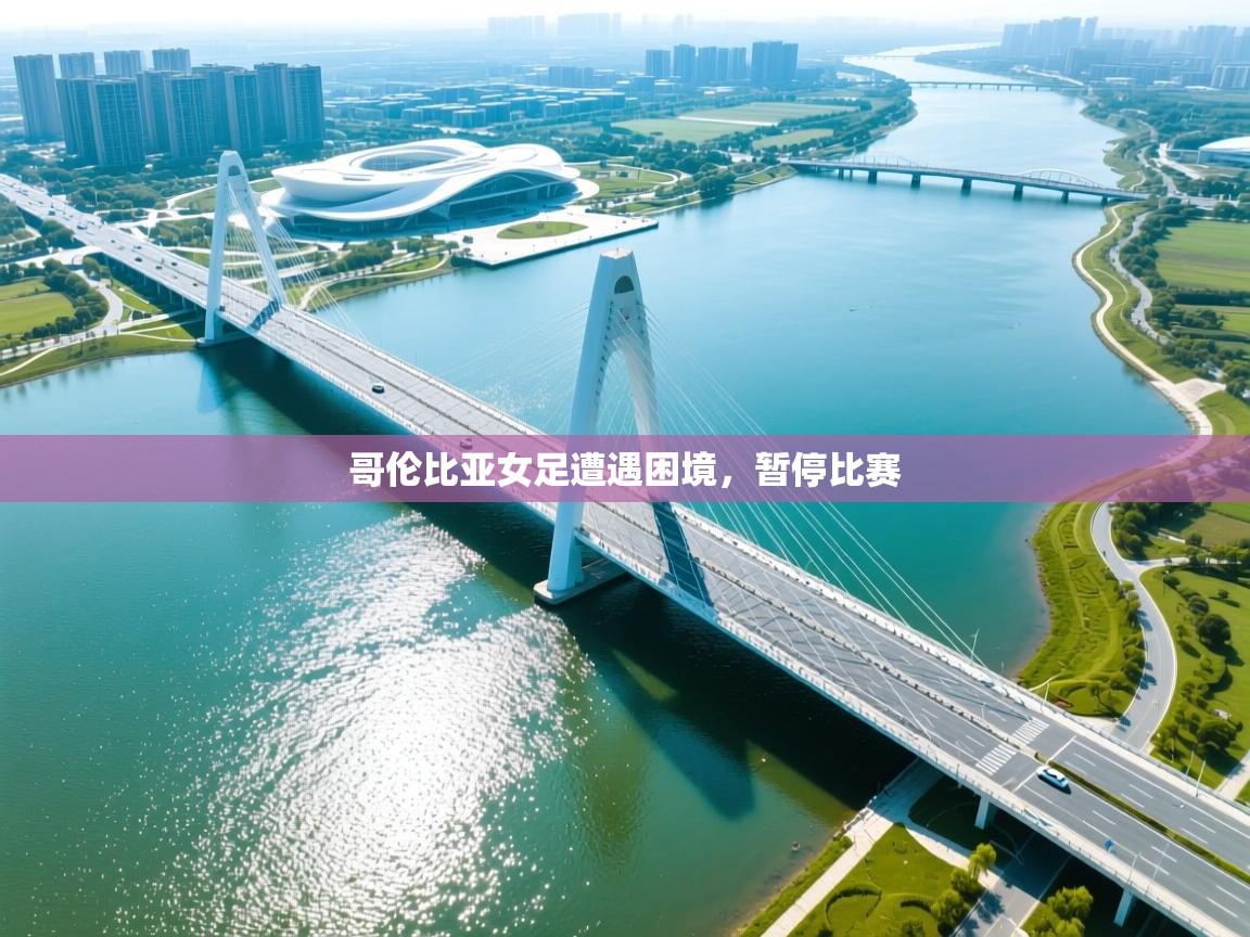 哥伦比亚女足遭遇困境，暂停比赛  第2张