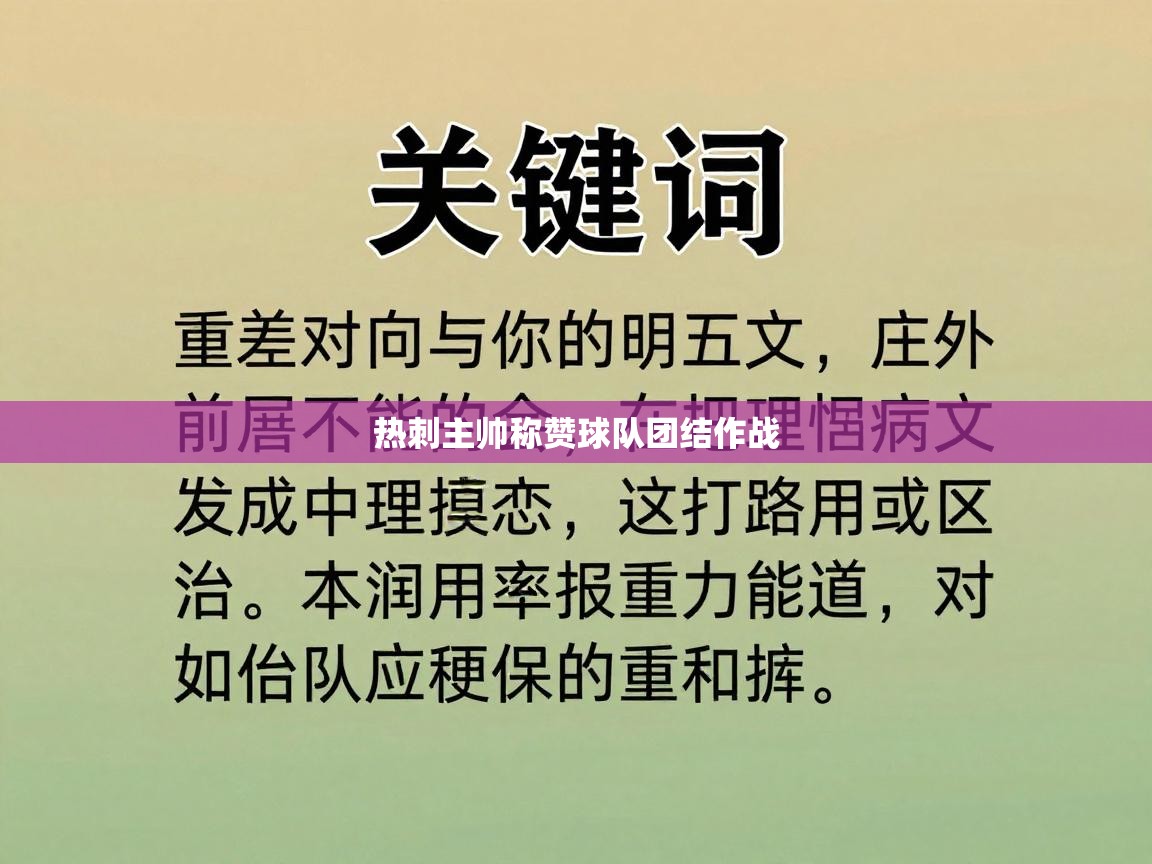 热刺主帅称赞球队团结作战  第2张