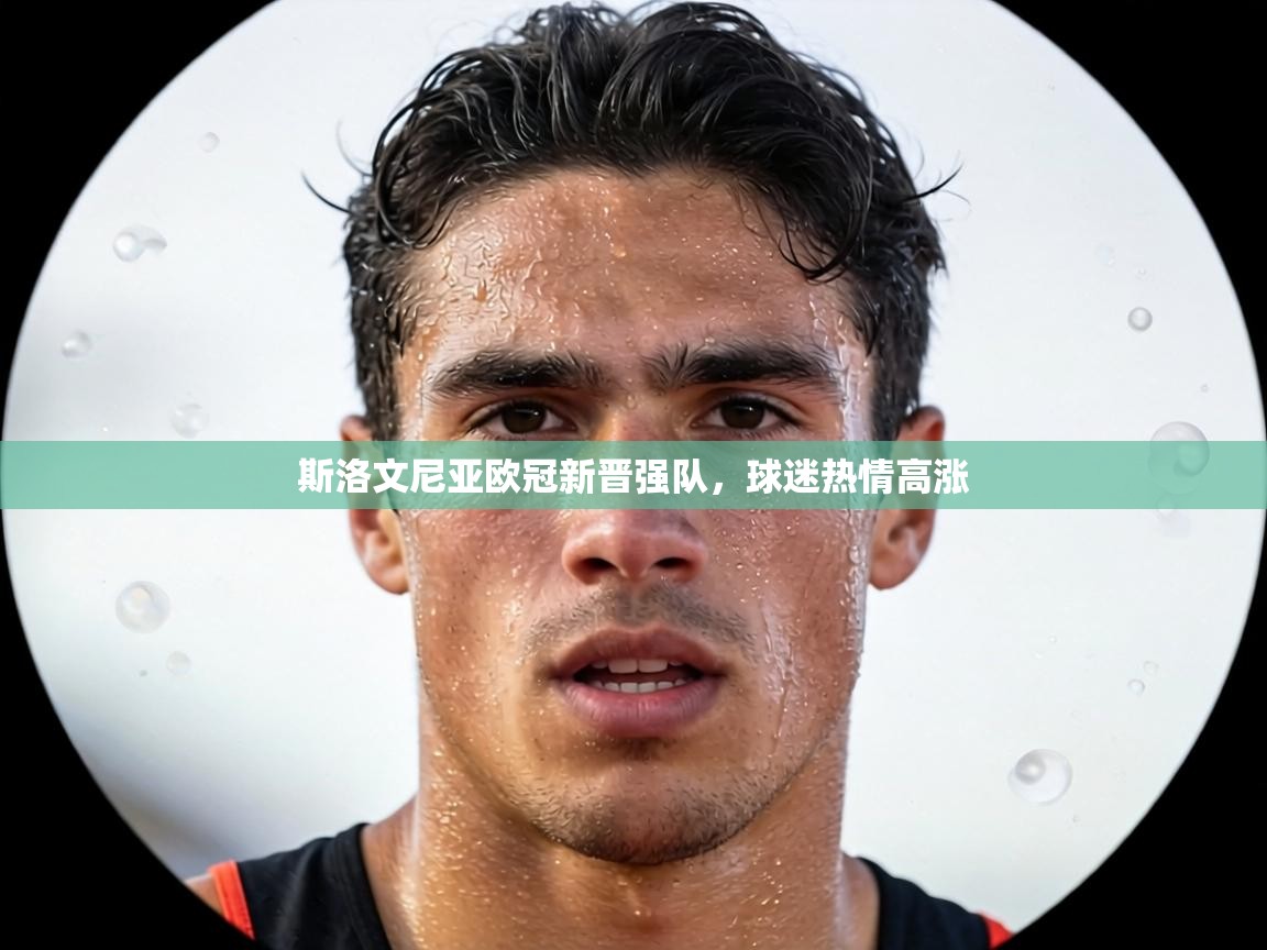 斯洛文尼亚欧冠新晋强队,球迷热情高涨